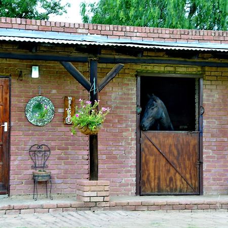 Owls Loft Guest House Midrand Exterior photo